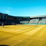 Grass Court Tennis – The Unique Challenges and Betting Opportunities